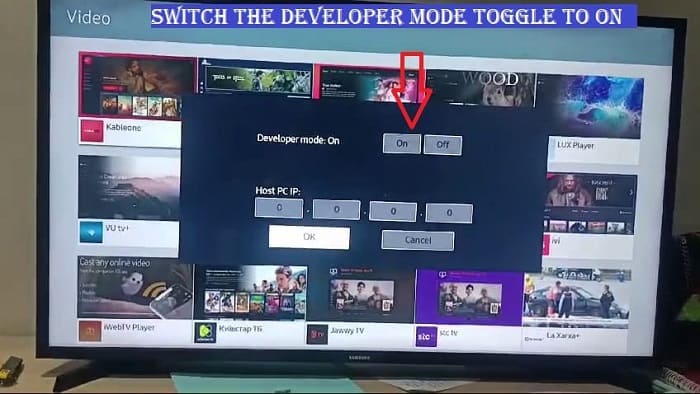 Switch the Developer Mode toggle to On in samsung smart tv 